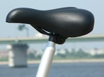 f0098 サドル