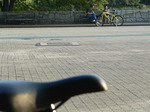 f0336 十月中旬公園で