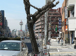 f0480 国道2号線の御影