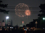 f0795 花火