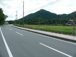 f0876 たぶん有馬富士