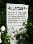 f0884 橋が崩壊したらしい