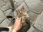 fz3_013 横に座って手を伸ばす